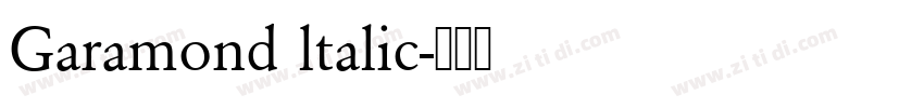 Garamond ltalic字体转换